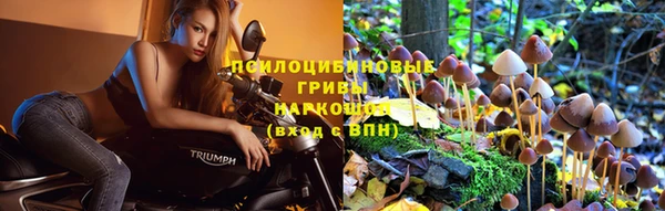 ALPHA PVP Абинск